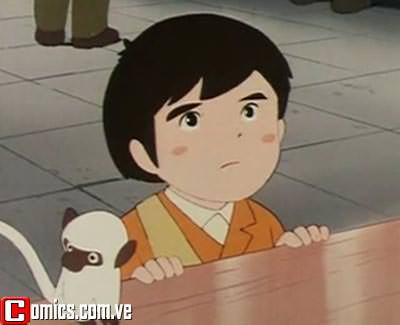 MARCO