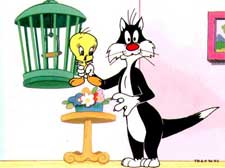 SILVESTRE Y PIOLÍN SILVESTRE Y PIOLÍN