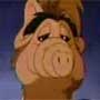 Alf